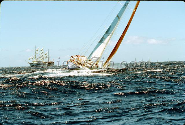 s0000037020.jpg