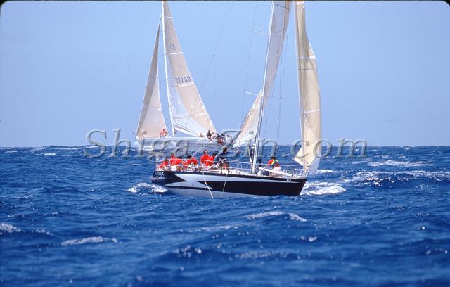 s0000039012.jpg
