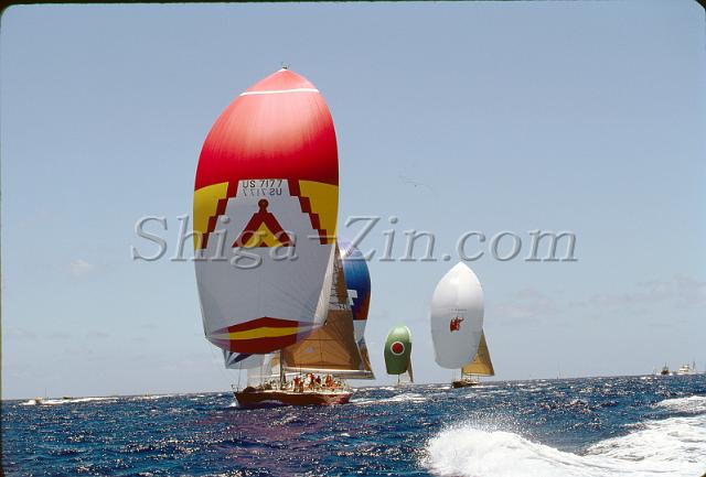 s0000041014.jpg