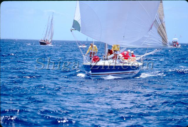 s0000043006.jpg