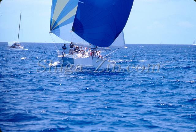 s0000043016.jpg