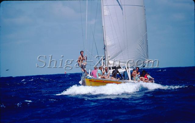 s0000043029.jpg