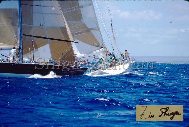 s0000044012.jpg
