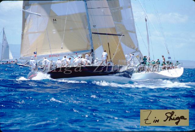 s0000044013.jpg