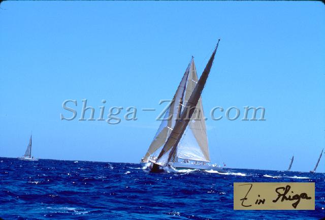 s0000044029.jpg