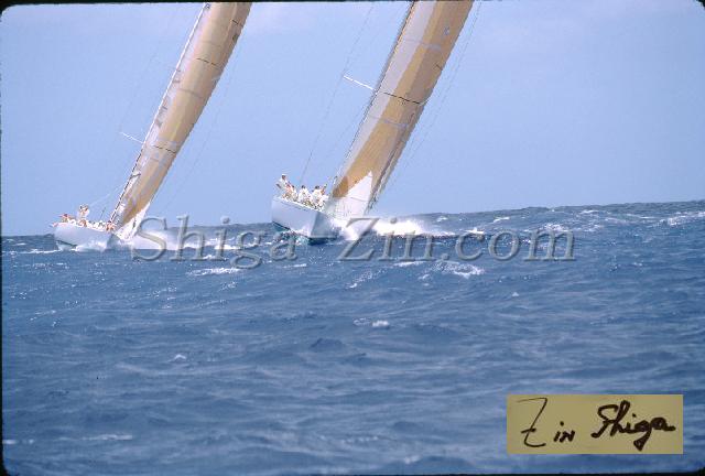 s0000046006.jpg