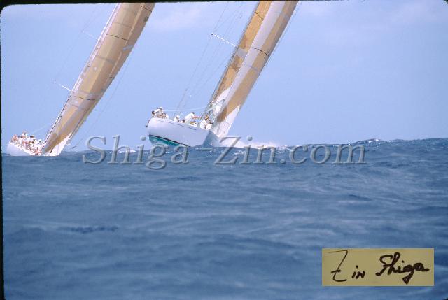 s0000046009.jpg
