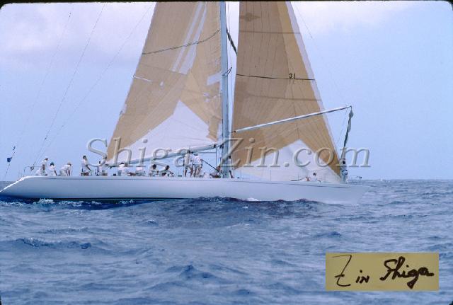 s0000046012.jpg