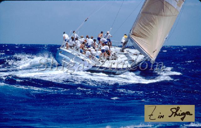 s0000047004.jpg