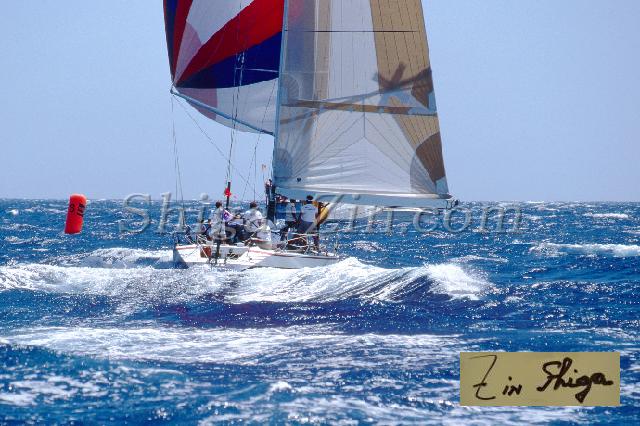 s0000047035.jpg
