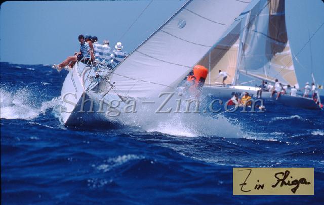 s0000049105.jpg
