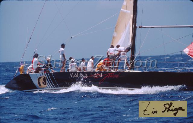 s0000049125.jpg
