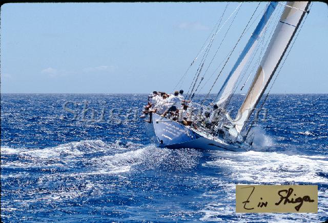 s0000054119.jpg