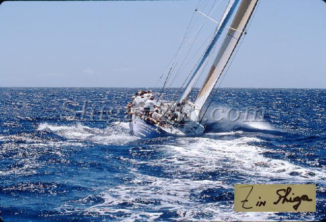 s0000054120.jpg
