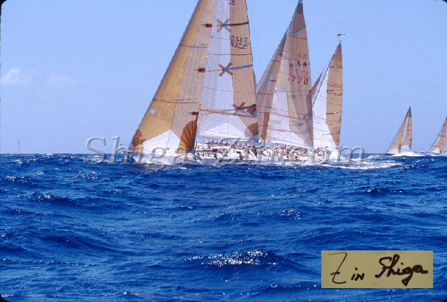 s0000054220.jpg