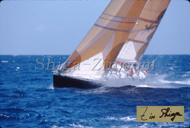 s0000055204.jpg