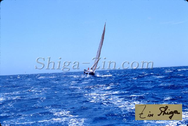s0000056130.jpg