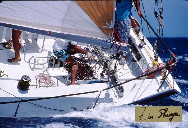 s0000056215.jpg