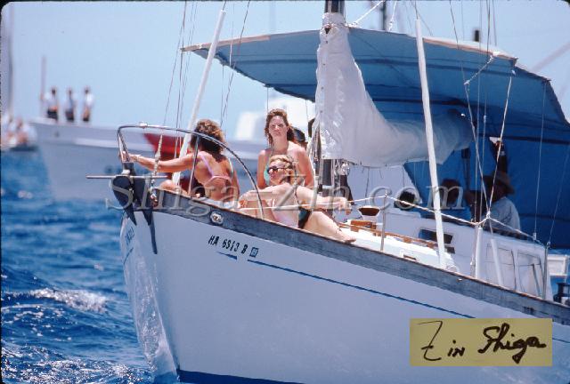 s0000057136.jpg