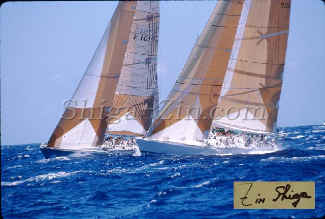 s0000057145.jpg
