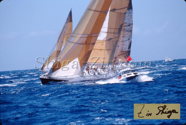 s0000057147.jpg
