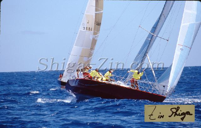 s0000057157.jpg