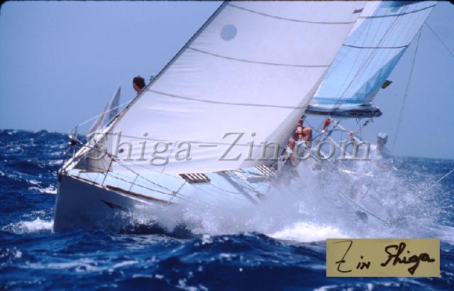 s0000057161.jpg