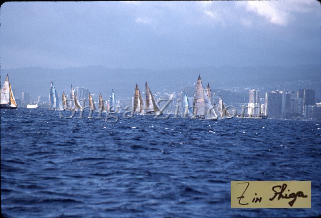 s0000058144.jpg