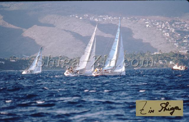 s0000058165.jpg
