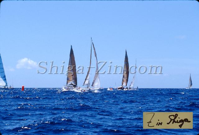 s0000059127.jpg