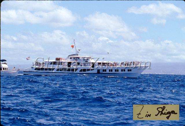 s0000059134.jpg