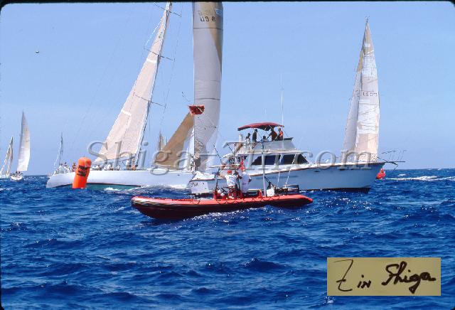 s0000059136.jpg