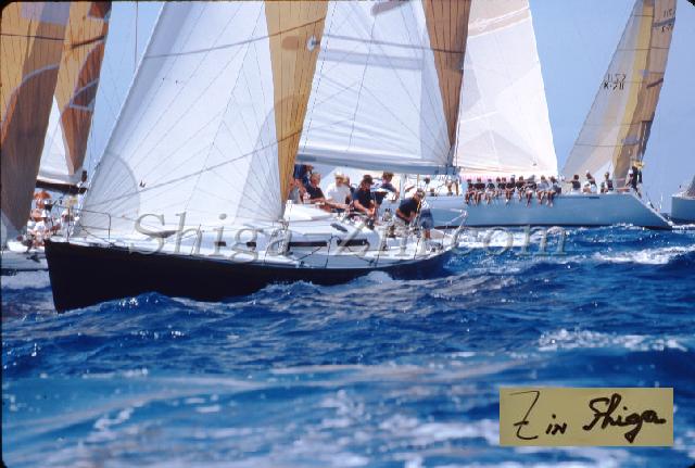 s0000059144.jpg