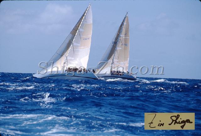 s0000059147.jpg