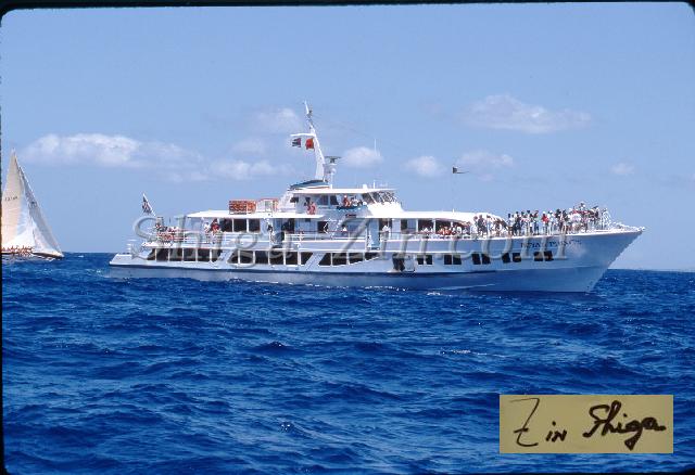 s0000060131.jpg