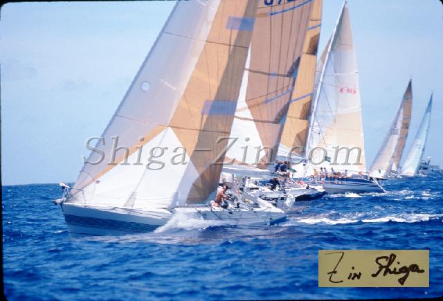 s0000060135.jpg