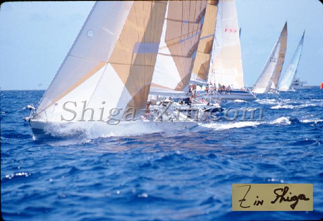 s0000060136.jpg