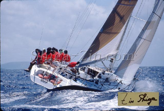 s0000060165.jpg