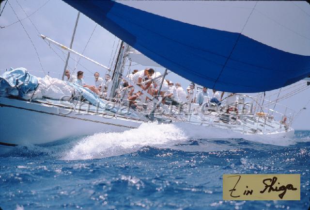 s0000061151.jpg