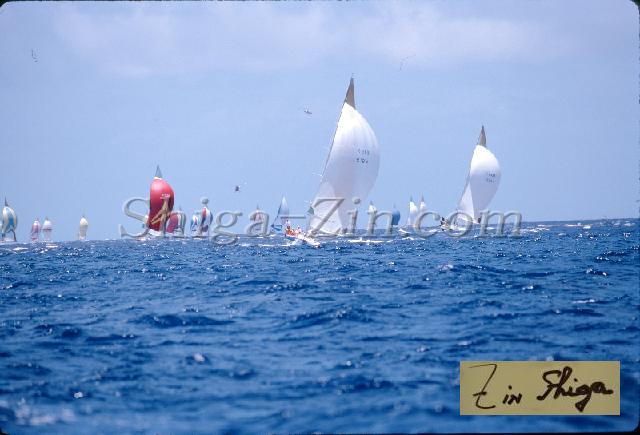 s0000063101.jpg