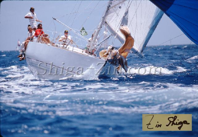 s0000063133.jpg