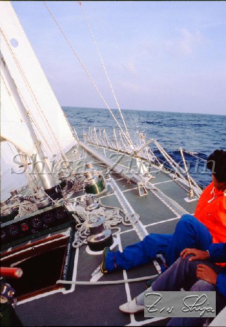 s0000068111.jpg