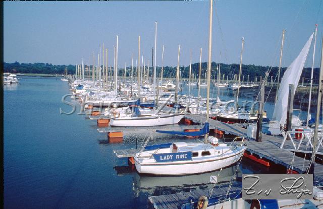 s0000068123.jpg