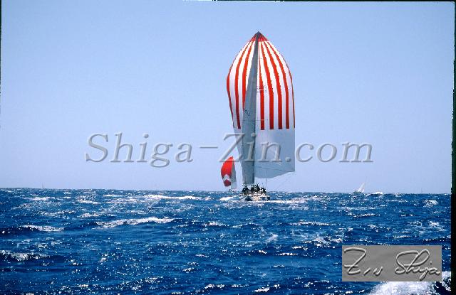 s0000075139.jpg