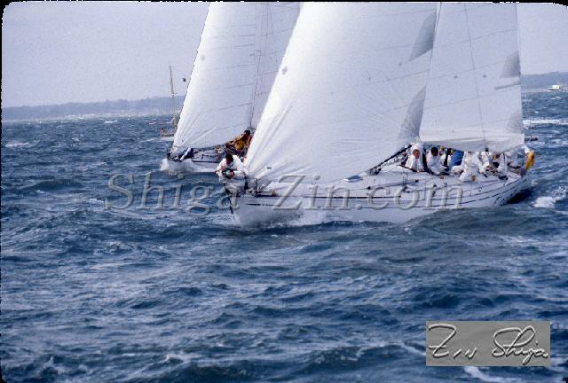 s0000101135.jpg
