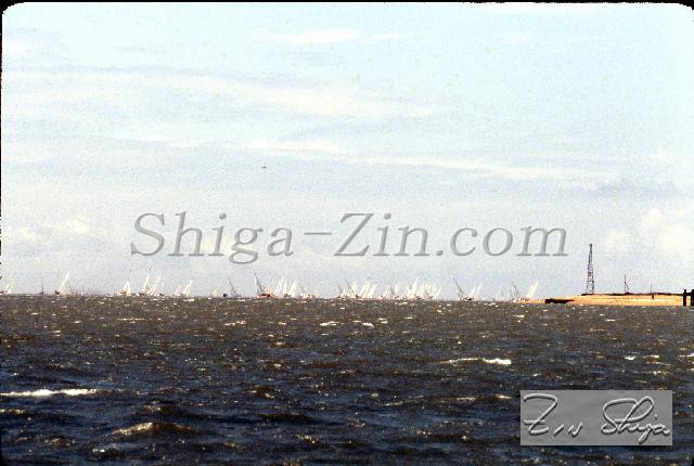 s0000103143.jpg