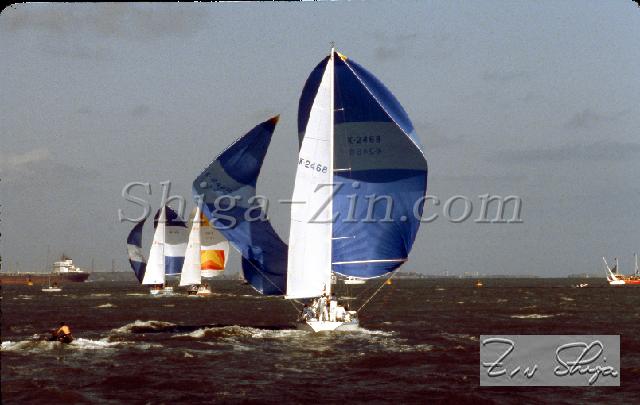 s0000105169.jpg