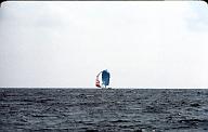 s0000110146
