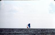 s0000110147