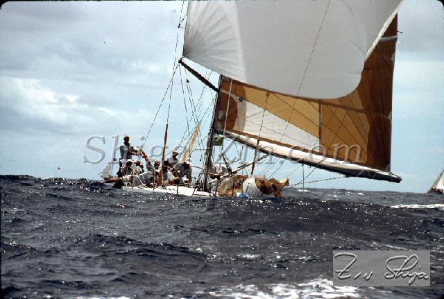 s0000115113.jpg